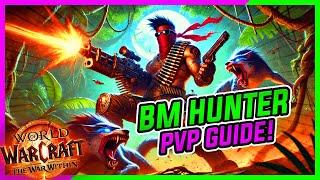 ULTIMATE BM Hunter PvP Guide 11.0.7 (HOW TO PLAY) | Best Talents, Rotation, Gear & more | WoW TWW!