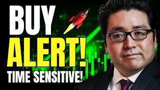 Tom Lee: “The Most Hated Rally In History   And Stocks Are Still Cheap” (Buy This Growth Stock Now!)