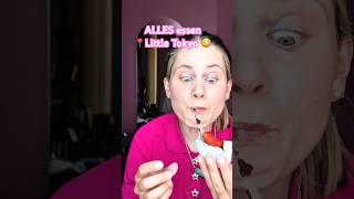 48H EVERYTHING  in Little Tokyo Eat Düsseldorf?! #food