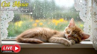 Gentle Cat Music for Sleep: Soothing Tunes to Calm Your Feline Friend and Promote Restful Sleep 