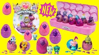 Hatchimals CollEGGtibles Season 6  The Royal Hatch Royal Snowball Limited Edition hatching opening