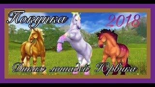 ПОКУПКА ДИКИХ ЛОШАДЕЙ ЮРВИКА  | магические шайры 2018 | Star Stable Online