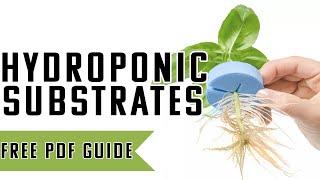 A SIMPLE Guide To Hydroponic Growth Medians | What Is the best way to start your plants?