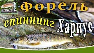 Форель на спиннинг. Ловля хариуса. Рыбалка в Ленинградской области. АВГУСТ 2019.