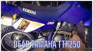 Cheap Yamaha TTR250 Dead On Arrival - Let's Get It Running!