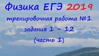 Физика ЕГЭ 2019 Тренировочная работа 1 разбор заданий 1 - 12