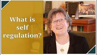 What is Self Regulation? | (feat. Jane Ellison, LMFT, IMH E®)