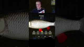 Троф ГОЛАВЛЯ на  ВЬЮНКЕ #fishing #русскаярыбалка4 #рыбалка #рр4