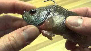 Mattlures U2 Bluegill & Live-Forage Bluegill Baitfish Swimbait