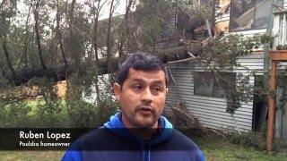 Kitsap continues windstorm cleanup