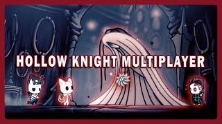 Цветочный 112% Жучий флекс: Hollow knight Multiplayer