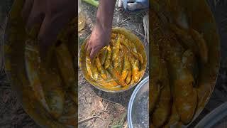 Pukur Theke Mach Dhore Mach Pora Kore Khelam Mini Vlog#shorts #minivlog