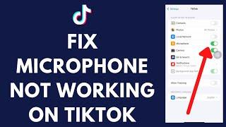 How To Fix Microphone Not Working on TikTok on iPhone