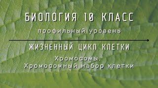 Биология 10 кл Проф уровень $27 Хромосомы. Хромосомный набор клетки