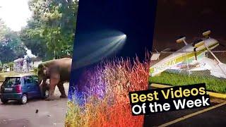 Viral Videos of the Week