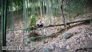 Build a bamboo bridge to enter the shelter | part 1