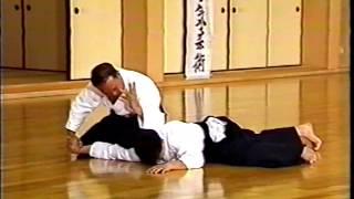 Daito-ryu Aikibudo - Embutaikai in Honshu #2