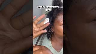 Dry to Moisturized Hair #howtomoisturizenaturalhair