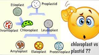 Plastids and its types