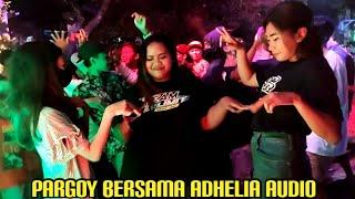 AMBYAR‼️ADHELIA AUDIO HAJATAN HOREG PUTAR DJ PARGOY ANDALAN BREWOG AUDIO