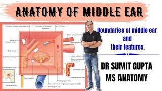 MIDDLE EAR ANATOMY : BOUNDARIES || MEDIAL WALL ||