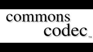 Apache Commons Codec