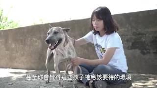 收容所志工談老犬領養＿窩窩【收容所老犬專題】第二集