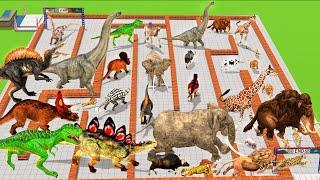 Which Animal vs Dinosaurs vs Brachiosaurus Speed Race Run Maze course! Challenge Animal Revolt Battl