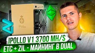 iPollo V1 3700 MH/s | ETC + ZIL - майнинг в Dual