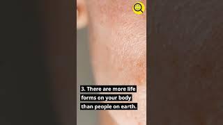 5 Incredible Life Facts - You Probably Didn't Know #onlyfacts #shorts #education #life #facts