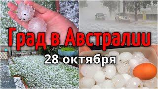 Град в Австралии сегодня 28 октября, в Аделаида выпал град размером с куриное яйцо | Катаклизмы