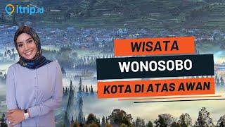 23 Tempat Wisata di WONOSOBO 2024 Terbaru & Lagi Hits Dikunjungi