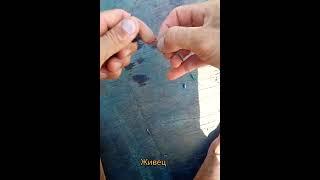 Как цеплять живца на Щуку или Окуня #shorts #рыбалка #удочка #наживца #fishing #щука #щуканаживца