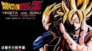 Dragon Ball Z - Vegeta and Goku Train Together (The Enigma TNG)