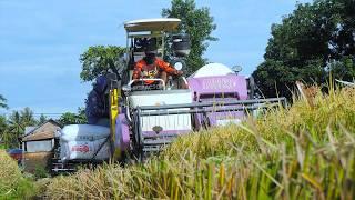 Harvesting Machine Crawling Down To The Field And Working Fast Inari RG118