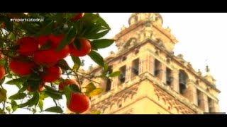 La catedral de Sevilla: en permanente restauración