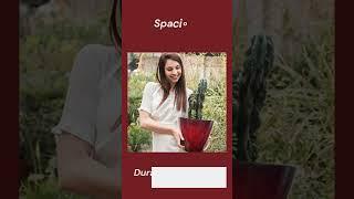 𝐒𝐚𝐯𝐚𝐧𝐧𝐚𝐡 𝐏𝐥𝐚𝐧𝐭 𝐏𝐨𝐭 Cherry Red #sgtraders #plasticplanters #garden #gardening #plants #loveyourspace