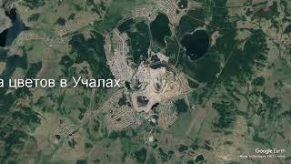 Доставка цветов в Учалах - Заказ букетов от компании Скорая подарочная помощь