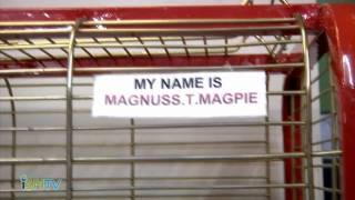 iSPI TV - Pet Zone - Wigan