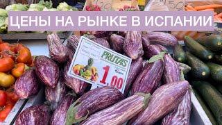 Цены на продукты в Испании! Сколько нужно денег для одного человека в Испании? Обзор рынка