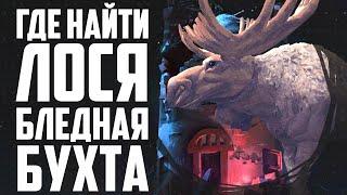 ГДЕ НАЙТИ ЛОСЯ (БЛЕДНАЯ БУХТА) | THE LONG DARK