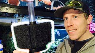 Sponge Filter Setup - How to Install Guide