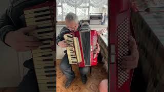 Firotti piano accordion, 120 Bass, 3 voice, 5+2 registers, Germany accordion, Full size accordion