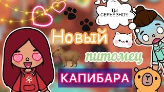 Новый питомец КАПИБАРА  / Toca Life World  / тока бока / toca boca / Secret Toca