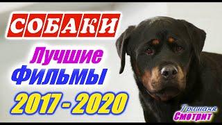 Собаки. Лучшие фильмы про собак. Фильмы про щенков. Фильмы про животных с 2017 по 2020 год