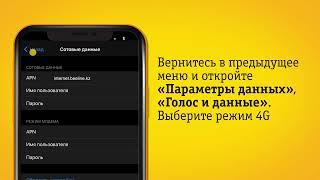 Как настроить интернет на iOS