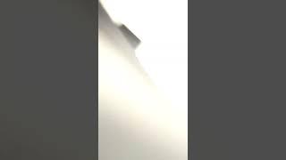 #funny #spider 
