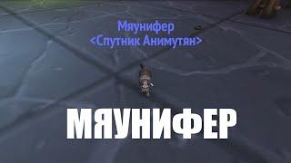 Как получить Мяунифера. Секретный питомец WoW