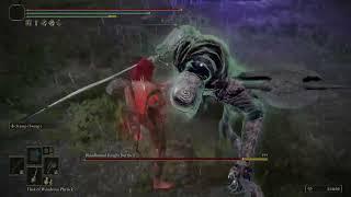 Shin vs Bloodhound Knight Darriwil (Forlorn Hound Evergaol | Limgrave) - Elden Ring