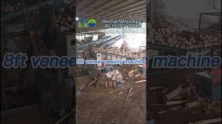 Amazing plywood process:8ft core veneer peeling lathe price spindleless veneer machine for saole